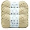 3 Pack Lion Brand® Basic Stitch Anti Pilling™ Skein Tones Yarn